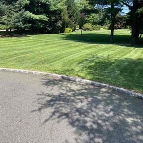 lawn care services by JLA Lawn Care reviewed on July 25, 2025
