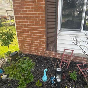 Flower Bed Weeding by MTD Lawncare &amp; Maintenance reviewed on April 28, 2026