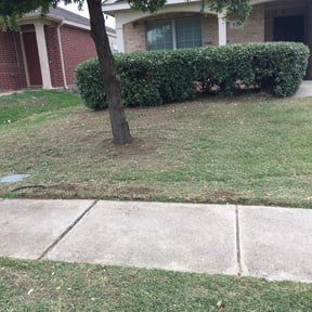 Bush Trimming by A Cut Above Landscaping & Lawn LLC reviewed on August 18, 2025
