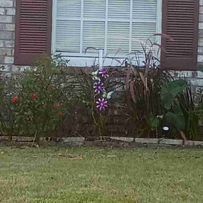 Flower Bed Weeding by Mauney Underground reviewed on November 20, 2025