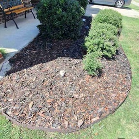 Flower Bed Weeding by 11 lawns reviewed on June 11, 2026