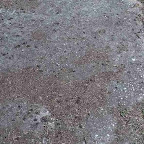Leaf Removal by A&amp;R Property Preservation reviewed on June 15, 2026