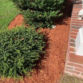 Flower Bed Weeding by Polish up  reviewed on May 12, 2024