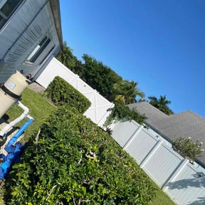 Bush Trimming by Jack of Home Trades reviewed on November 22, 2025