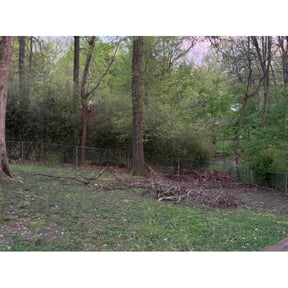 Leaf Removal by Salvador Lawn and Tree Service reviewed on September 10, 2025