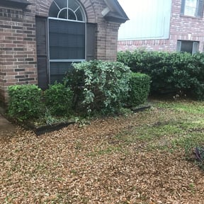Bush Trimming by Bella Vista Landscape Services reviewed on February 22, 2024