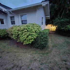 Bush Trimming by Greenleaf Premier LLC reviewed on October 18, 2025