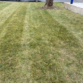 Leaf Removal by Exquisite Lawn &amp; Grounds reviewed on September 7, 2025