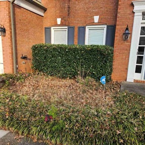 Bush Trimming by GREASY MONKEY reviewed on October 3, 2023