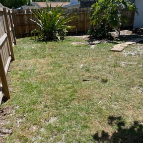 Leaf Removal by Emerson mowing reviewed on September 21, 2025