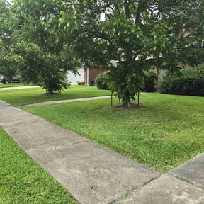 yard work by Best Green Area reviewed on August 14, 2025