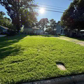 turf care by Lanes landscaping and tree trimming reviewed on August 16, 2025