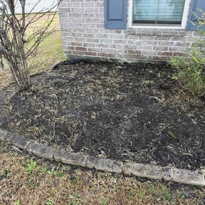 Flower Bed Weeding by Devin's Land Warriors reviewed on February 12, 2026