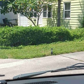 Bush Trimming by Pedrito’s lawn service llc reviewed on August 21, 2025