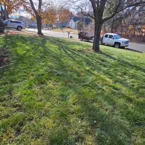 Leaf Removal by All works llc reviewed on November 20, 2025