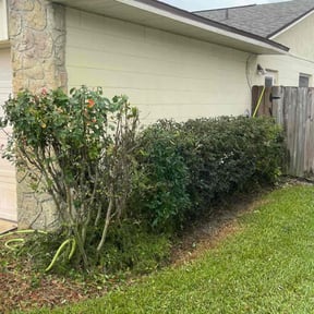 Bush Trimming by Top Lawn Companies, LLC reviewed on August 18, 2025