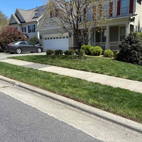 landscaping by Quality landscaping reviewed on August 18, 2025
