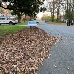 Leaf Removal by Ok Jim Lawncare reviewed on November 1, 2022