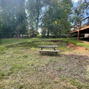 Bush Trimming by Lawnteck reviewed on May 10, 2024