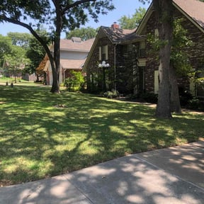 lawn maintenance by Grass Munchers reviewed on March 27, 2025