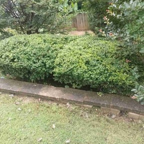 Bush Trimming by Outlaw oasis landscape reviewed on August 18, 2025