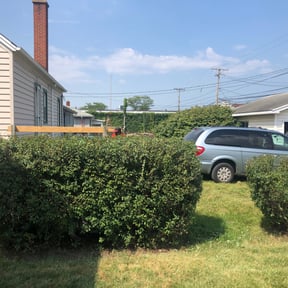 Bush Trimming by Top Landscape Maintenance LLC reviewed on May 25, 2025