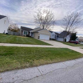 Leaf Removal by Wilson's Lawn Care reviewed on November 20, 2025