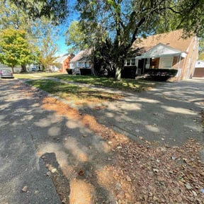 Leaf Removal by CNR Landscaping reviewed on November 9, 2025