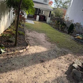 Leaf Removal by Mystique Lawn Care Service Plus reviewed on November 21, 2025