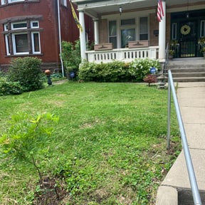 Leaf Removal by DC Property Renovations &amp; Maintenance  reviewed on October 1, 2025