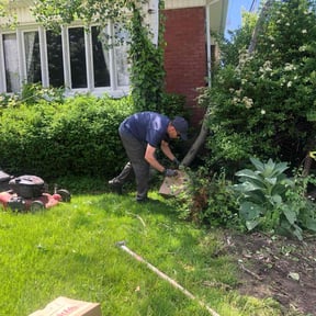 Bush Trimming by S & Z Lawn Service reviewed on August 19, 2025