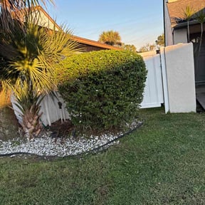 Bush Trimming by Stephenson's Landscaping reviewed on December 17, 2025