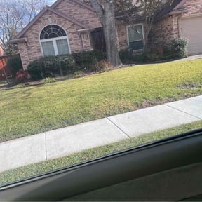 Leaf Removal by Quick cutz  reviewed on September 20, 2025