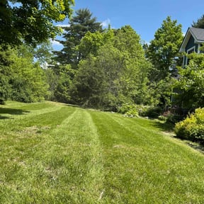 landscaping by Pure Michigan Lawn Care reviewed on August 17, 2025