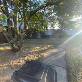 Leaf Removal by 8 Point Services LLC reviewed on November 10, 2025