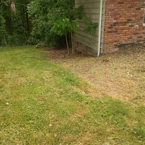 Flower Bed Weeding by Lovely Lawns reviewed on July 30, 2026