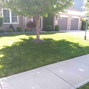 landscaping by 5K Landscape reviewed on March 20, 2024