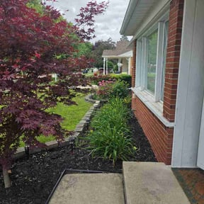 Flower Bed Weeding by Tree service and moving reviewed on July 12, 2026