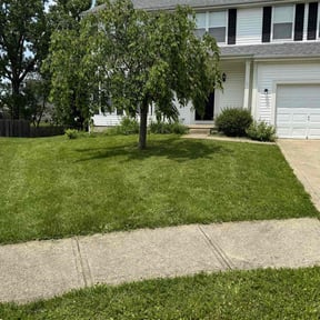 turf maintenance by Wacky grass lawn care reviewed on August 19, 2025