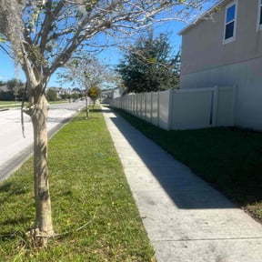 Bush Trimming by Texas Services SA reviewed on November 21, 2025