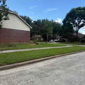 Bush Trimming by ZMow Lawn Care LLC reviewed on June 11, 2026