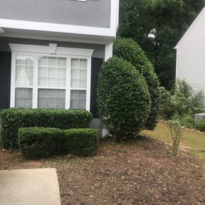 Bush Trimming by Elite Cleaning LLC reviewed on August 17, 2025