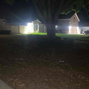 lawn service by Grandson reviewed on August 11, 2025