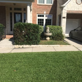 Bush Trimming by Rjm reviewed on August 16, 2025