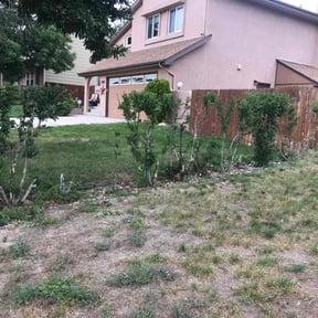 Bush Trimming by Eco Landscape & Design reviewed on August 18, 2025