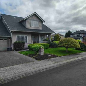 yard service by Vertical Lawn Care reviewed on August 17, 2025
