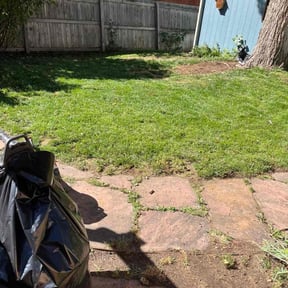 Leaf Removal by CNR Landscaping reviewed on September 11, 2025