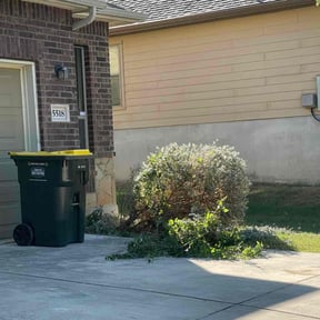 Bush Trimming by Jero&#039;s Landscape reviewed on October 22, 2025