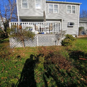 Bush Trimming by This &amp; That reviewed on November 23, 2025