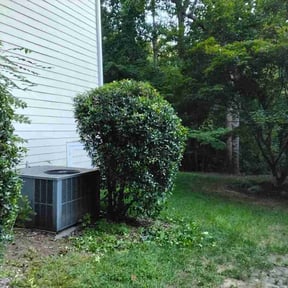 Bush Trimming by Morgan Landscaping LLC reviewed on August 30, 2026